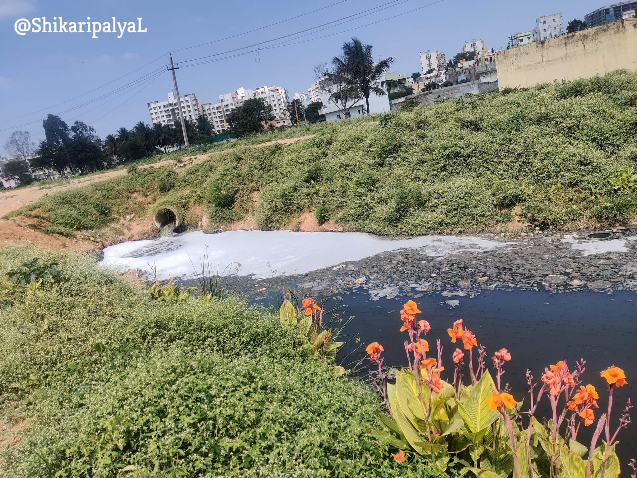Shikaripalya Lake – An Overview - Electronic City Credence